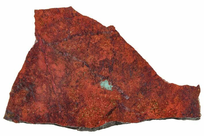 Vibrant Sonora Sunset (Chrysocolla Cuprite) Slab - Mexico #323910